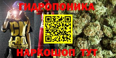 Альфа ПВП Ливны
